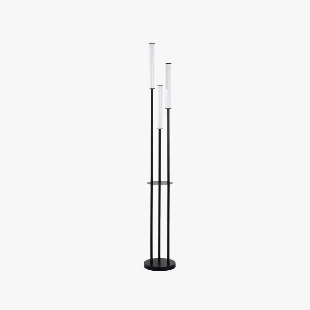 Dabutes Modern 3 head Black Metal Arcylic Floor Lamp