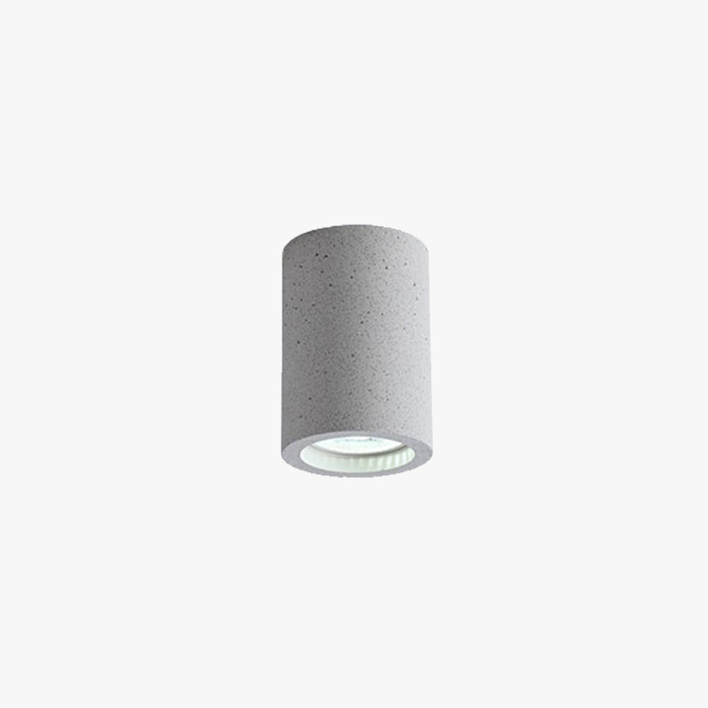Raderul Modern Cylinder LED Flush Mount Ceiling Light, Living Room