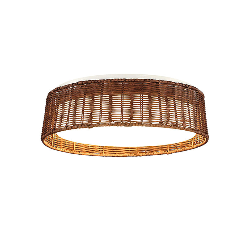 Raffielle Ceiling Light