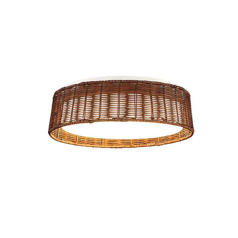 Raffielle Ceiling Light