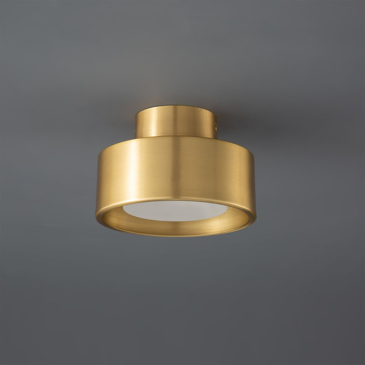 Orelirina Ceiling Light
