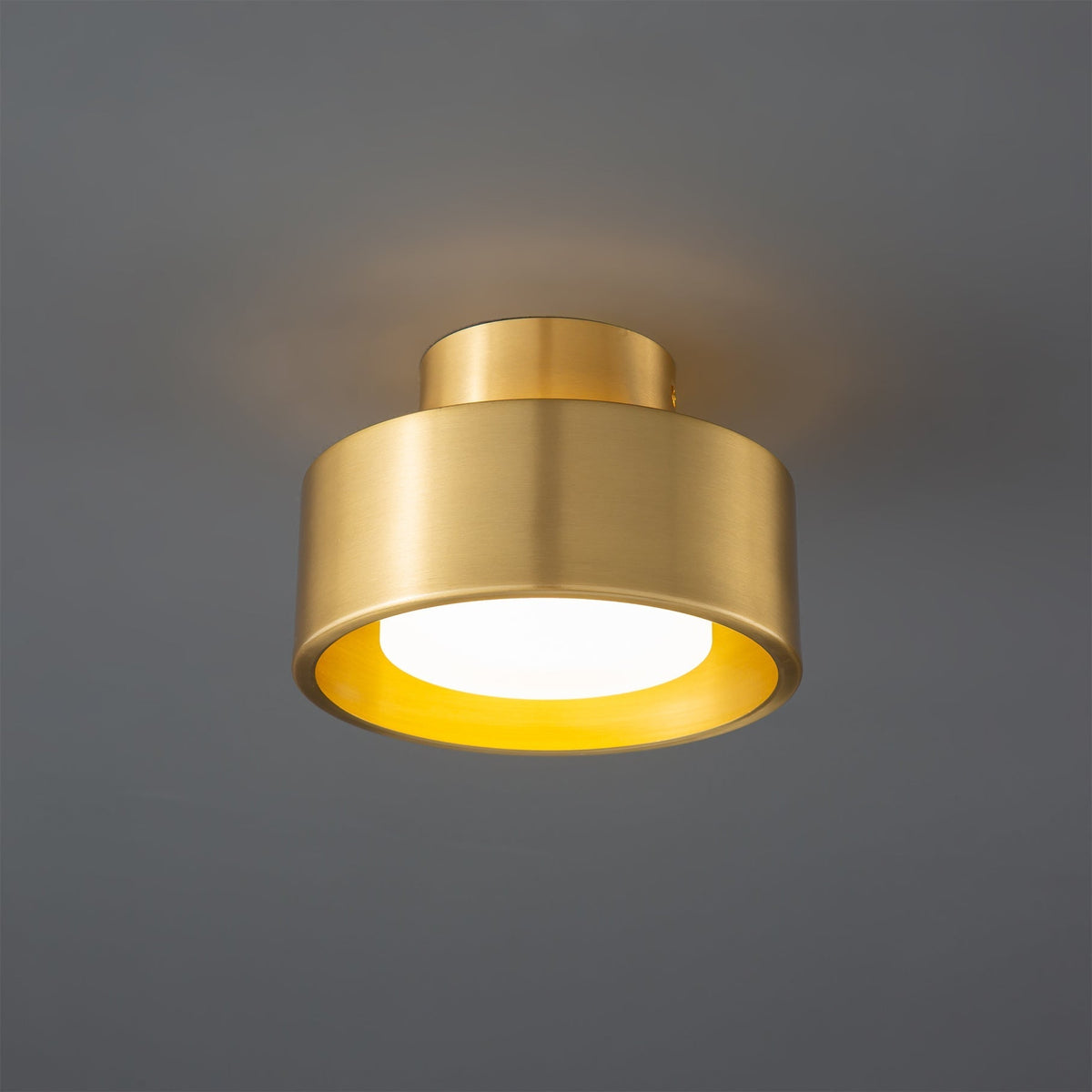 Orelirina Ceiling Light