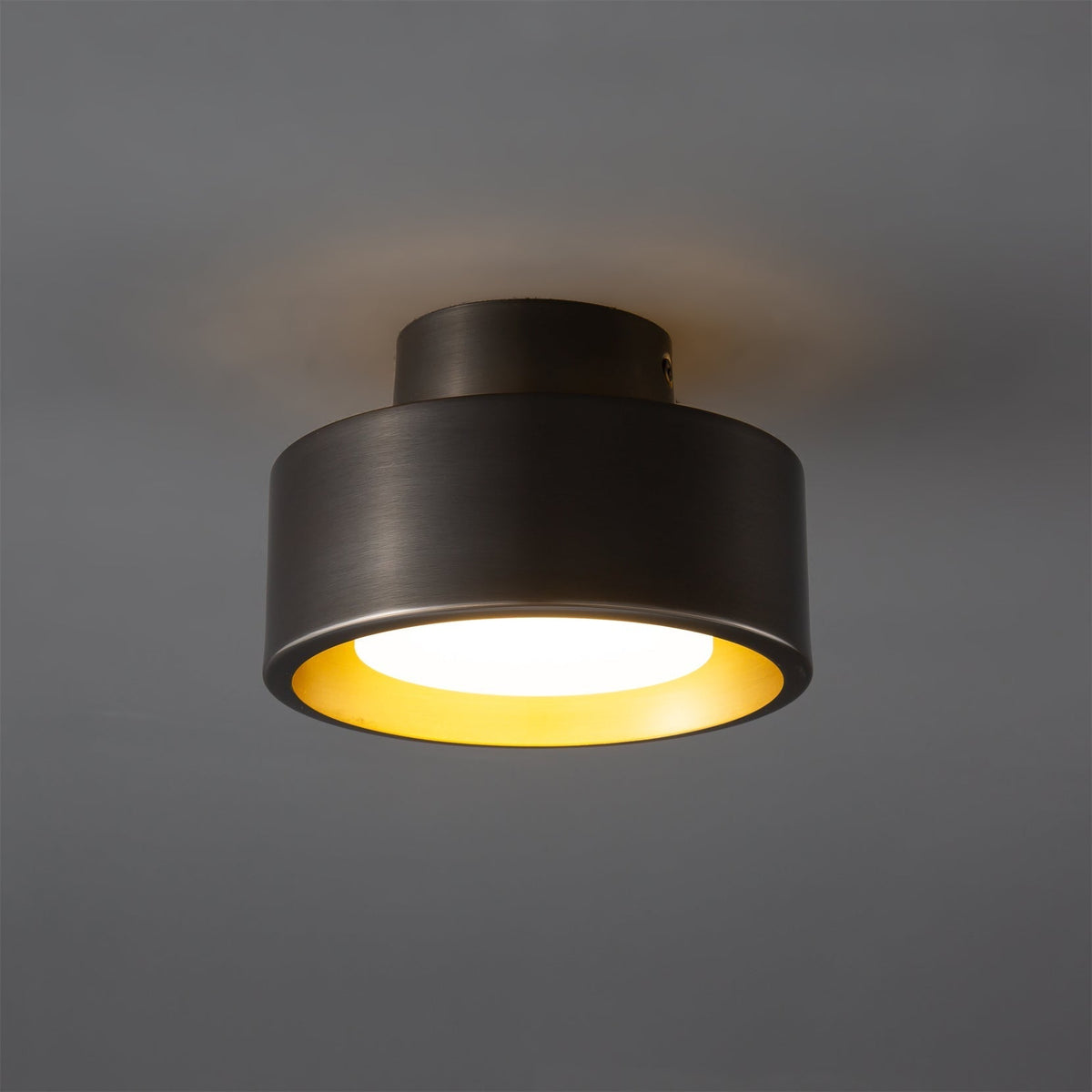Orelirina Ceiling Light