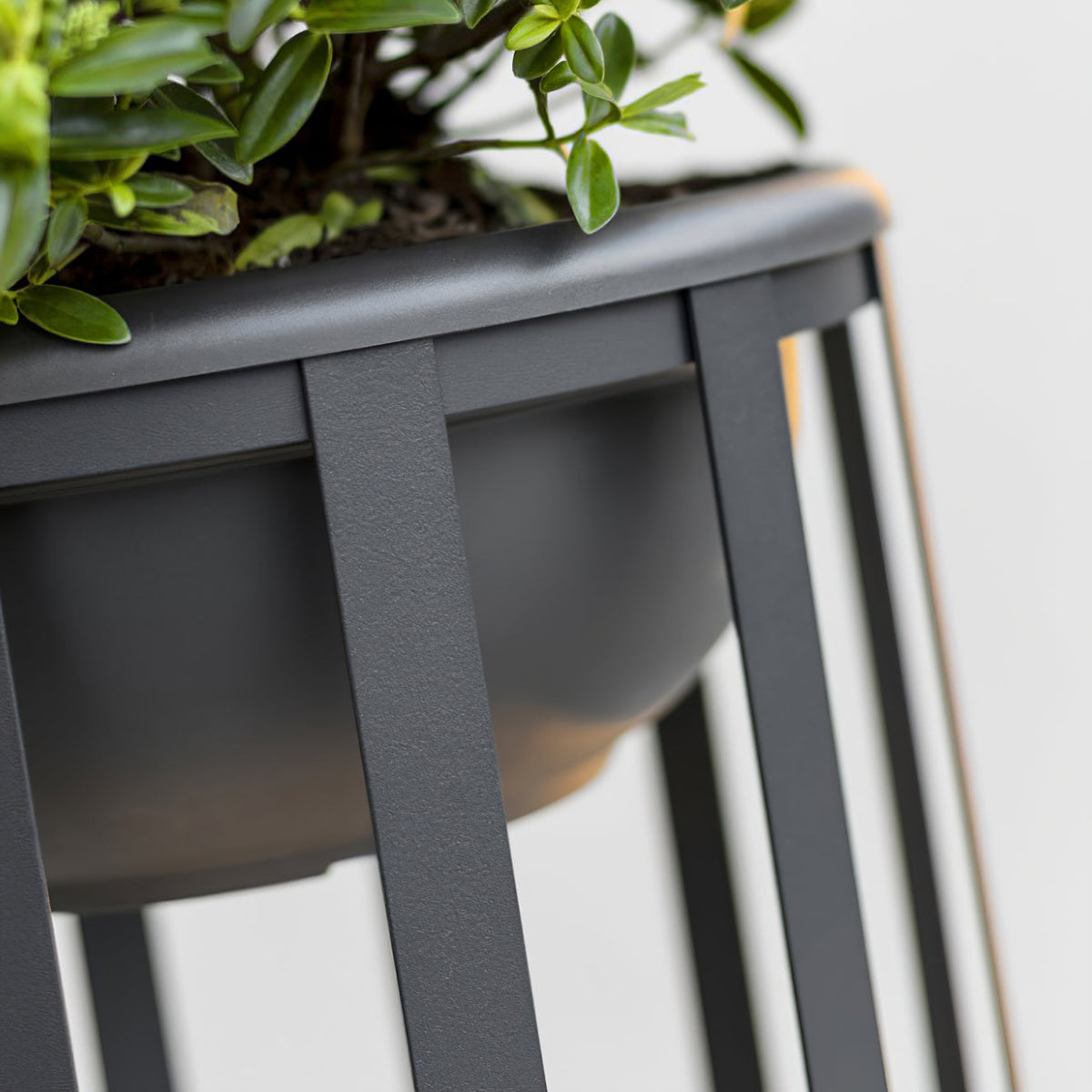 Matteo Outdoor Lamp