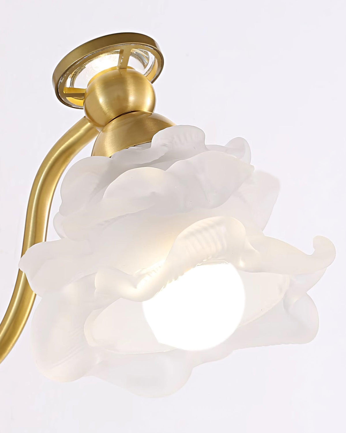 Zoey Brass Floral Wall Lamp