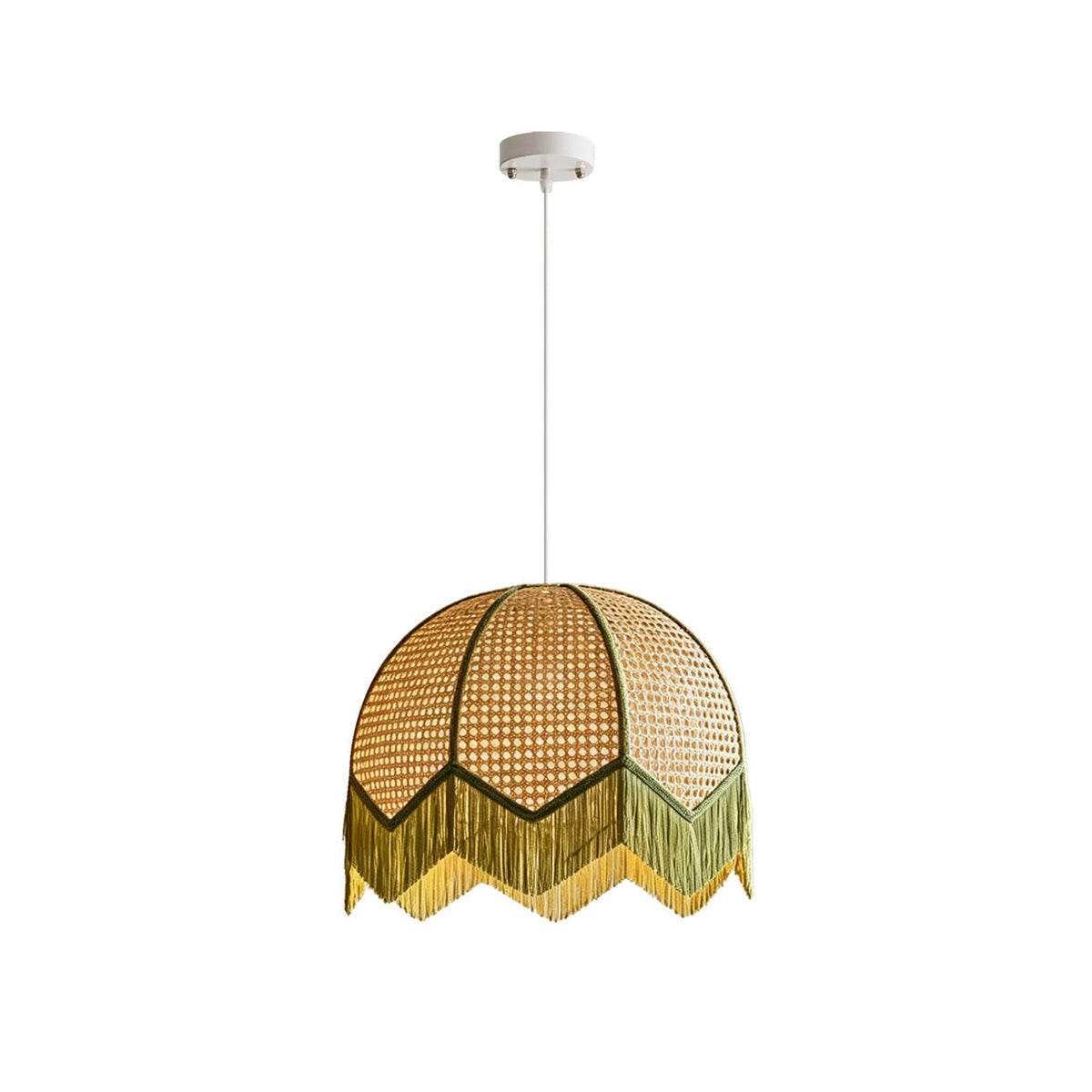 Lioroiella Pendant Light