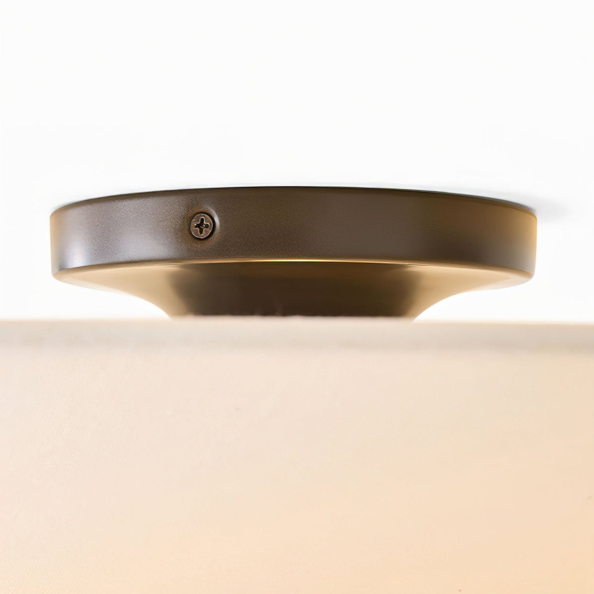 Veluina Ceiling Lamp