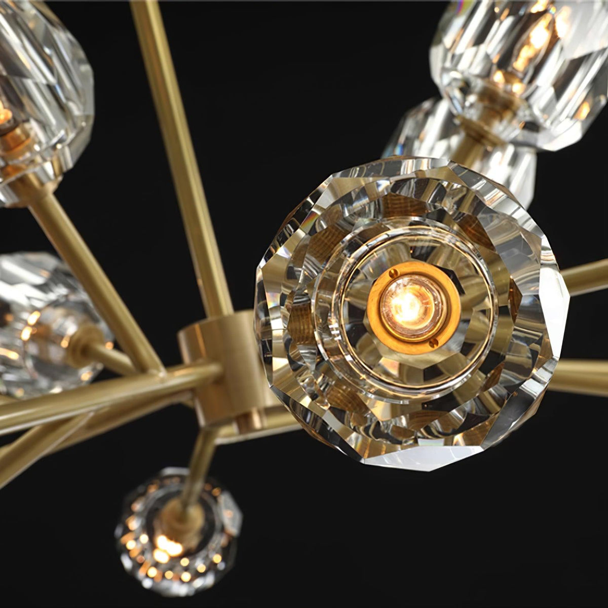 Reniella Chandelier