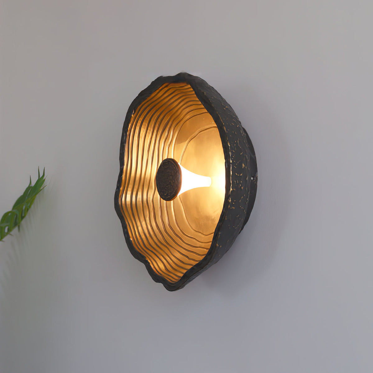 Selivelia Wall Light