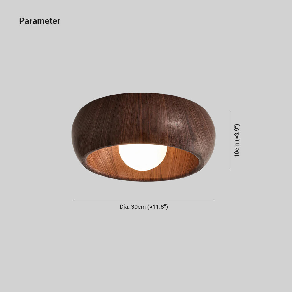 Selivel Ceiling Light