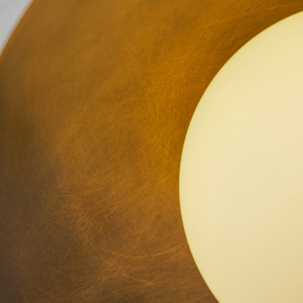 Terieneon Ceiling Light