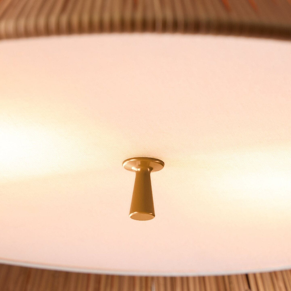 Sorellia Ceiling Light