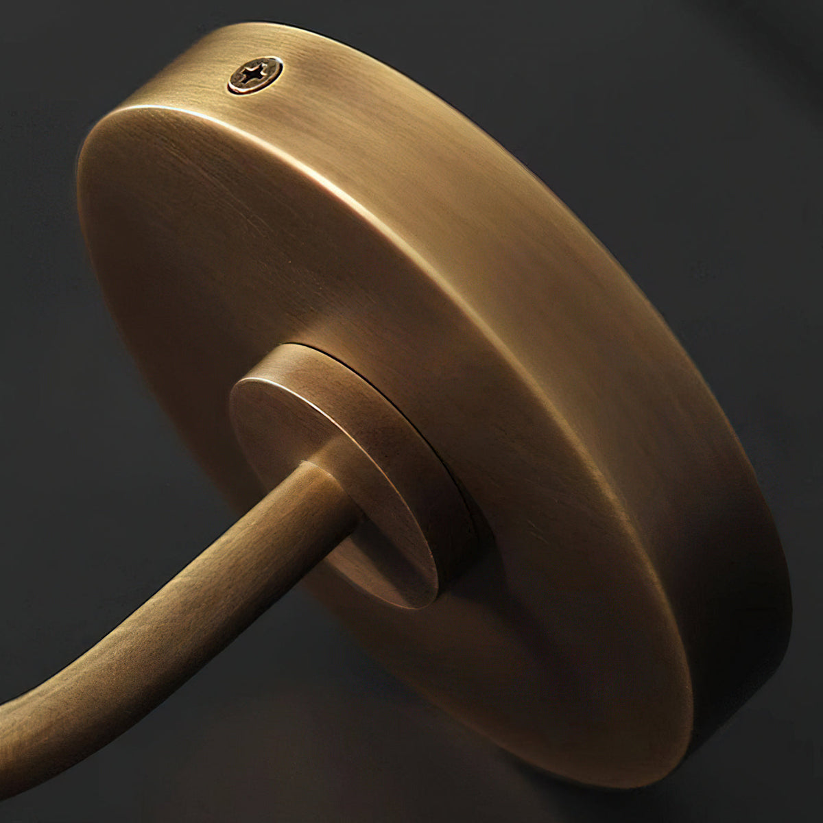 Velanelle Gooseneck Sconce