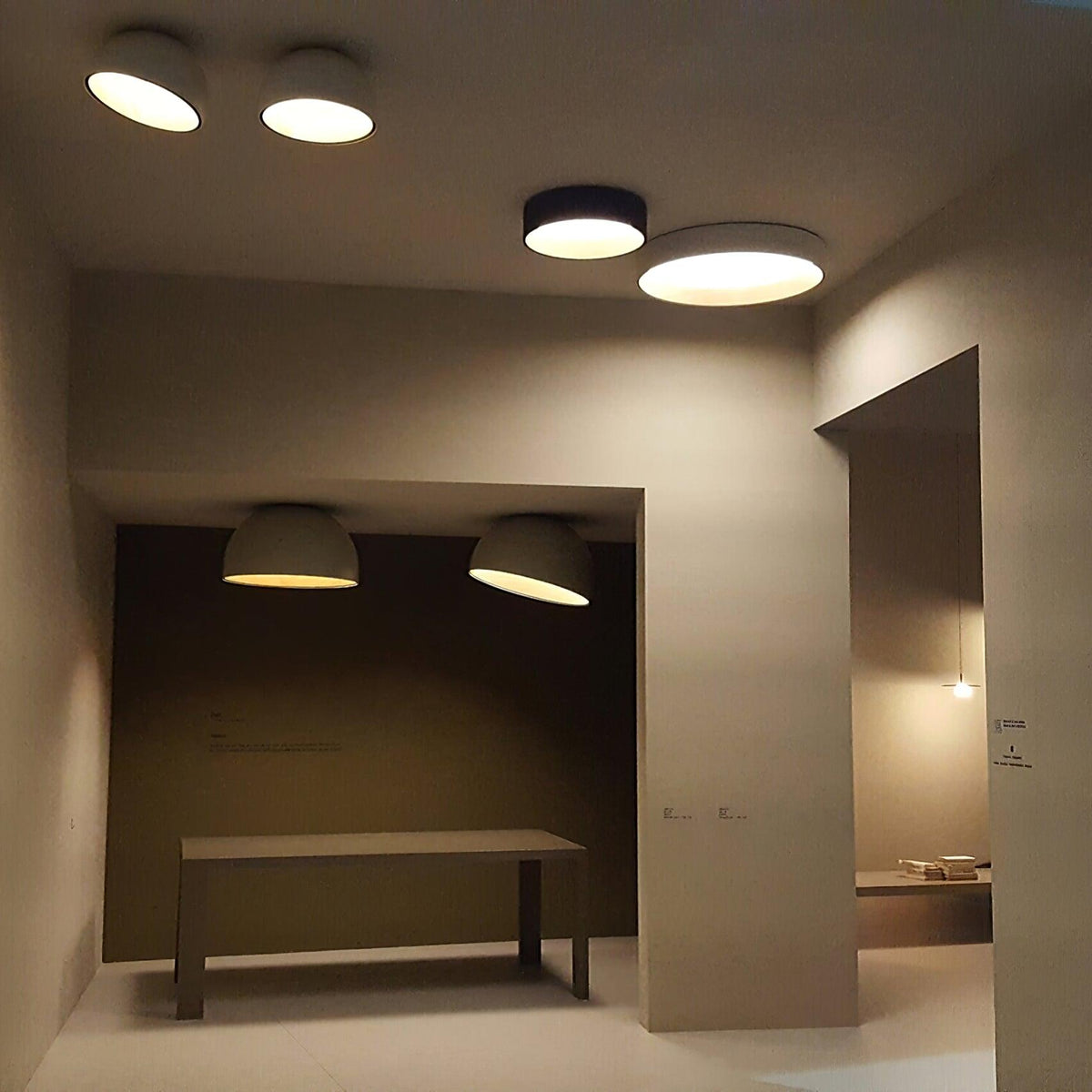 Flanel Ceiling Lamp