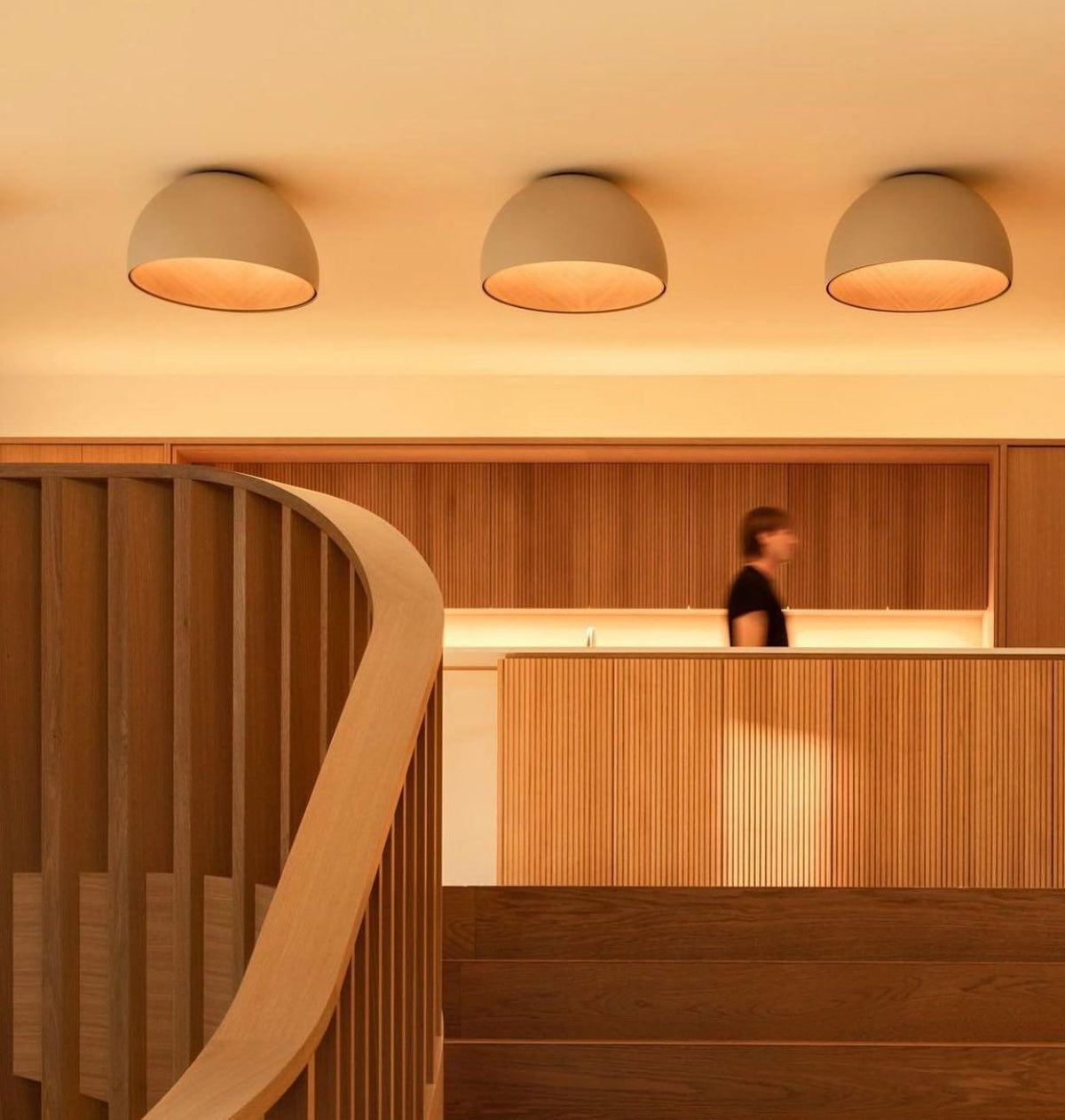 Flanel Ceiling Lamp