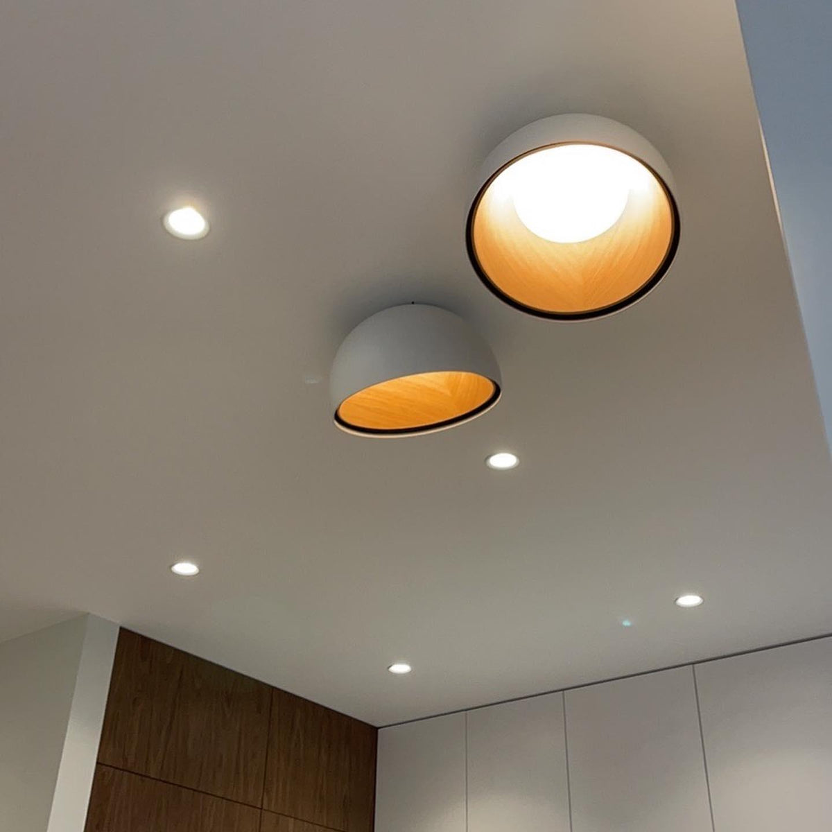 Flanel Ceiling Lamp