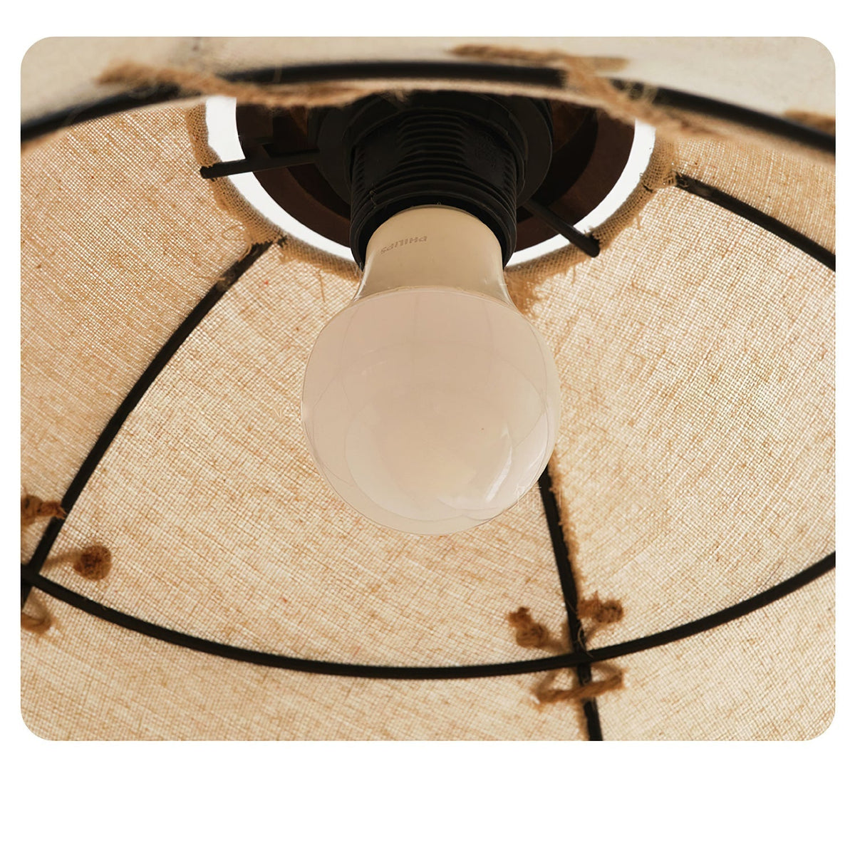 Selalelle Pendant Light