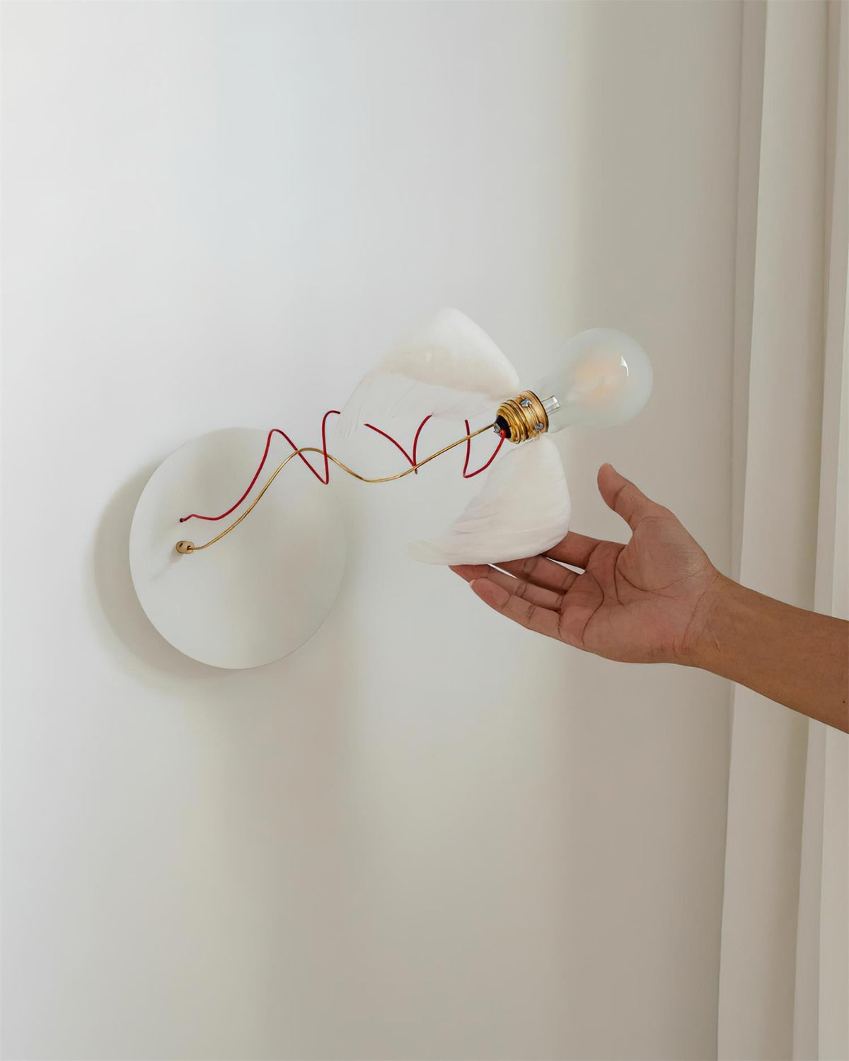 Lioranaria Wall Light
