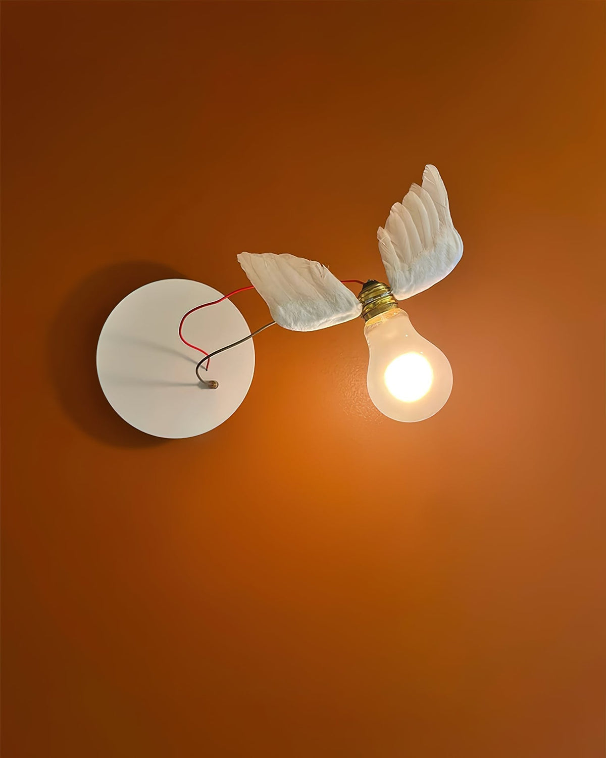Lioranaria Wall Light