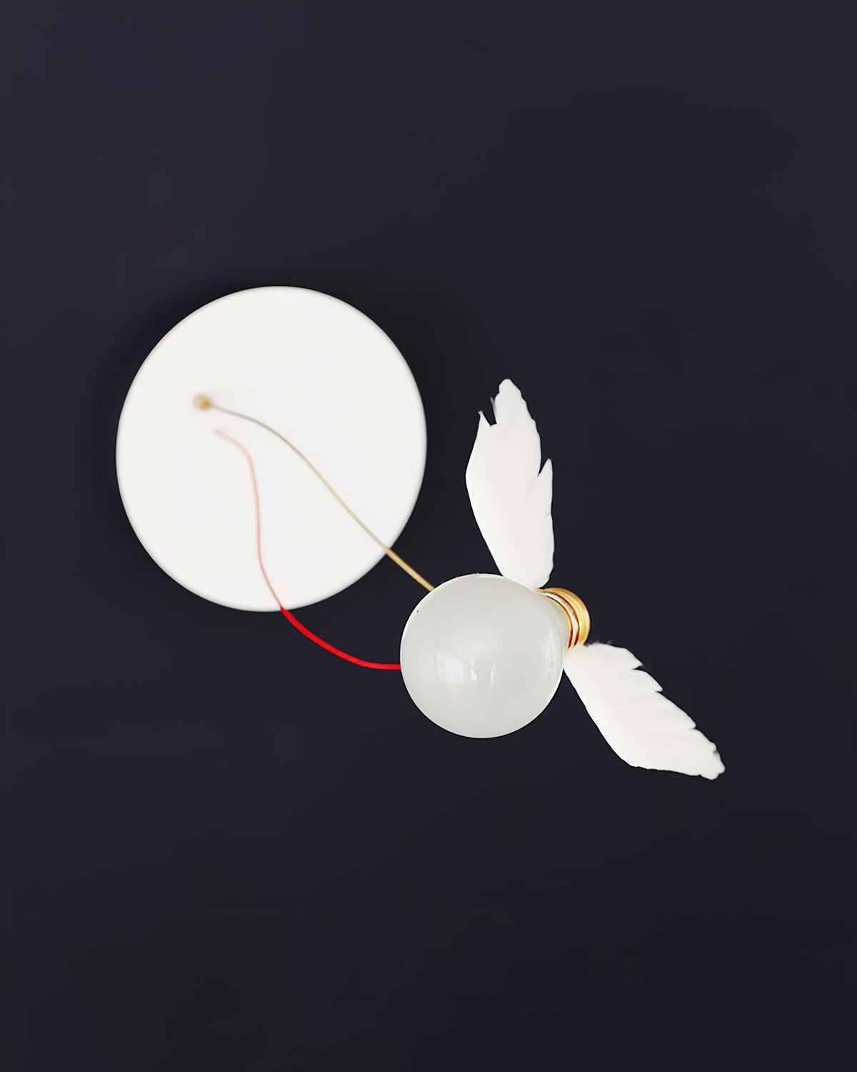 Lioranaria Wall Light