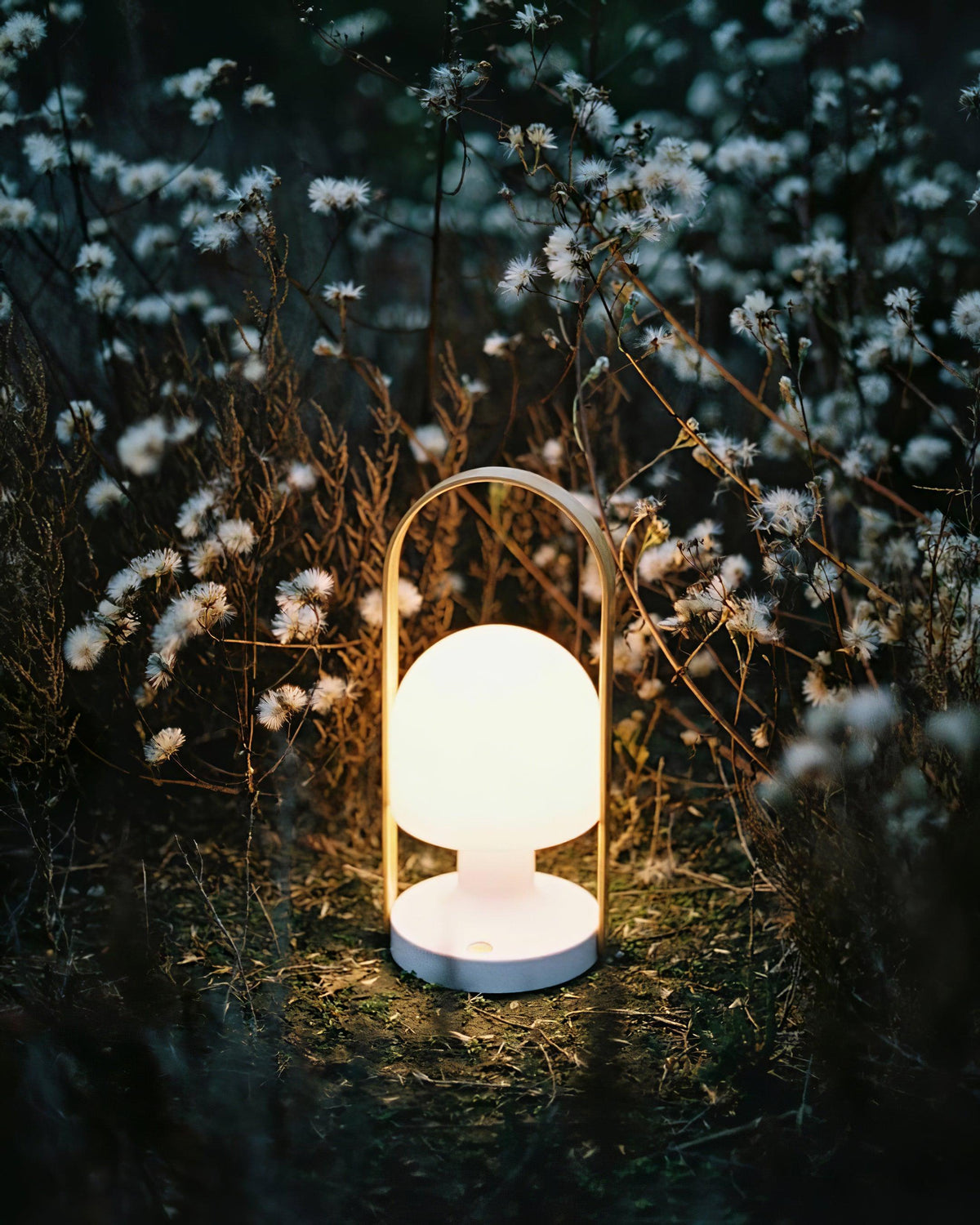 Elaanelle Table Lamp