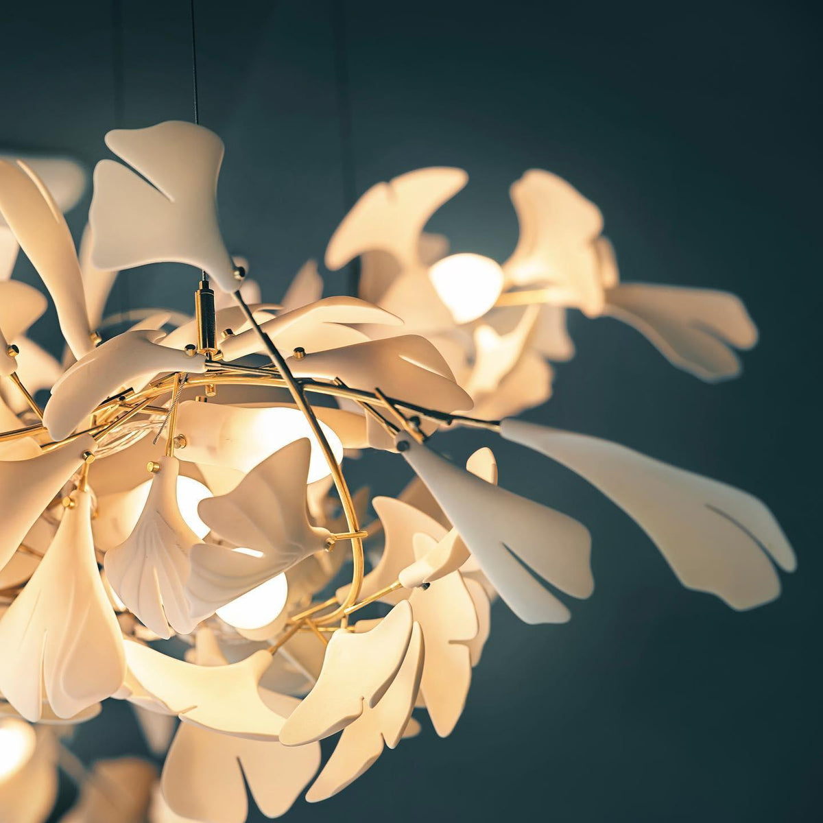 Oriane Chandelier