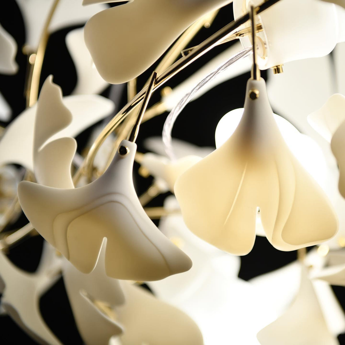 Seraphinel Chandelier