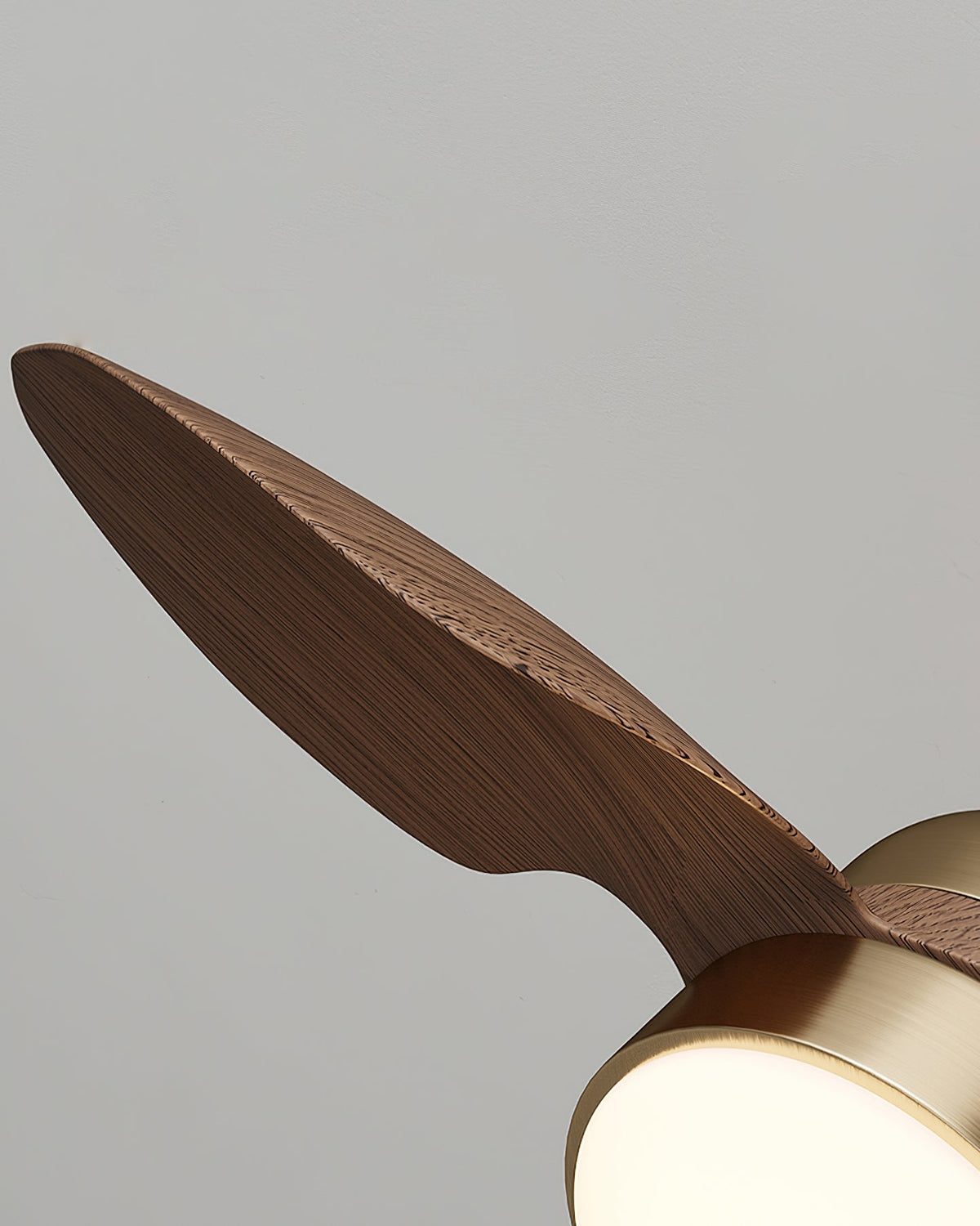 Aerivo Ceiling Fan Light