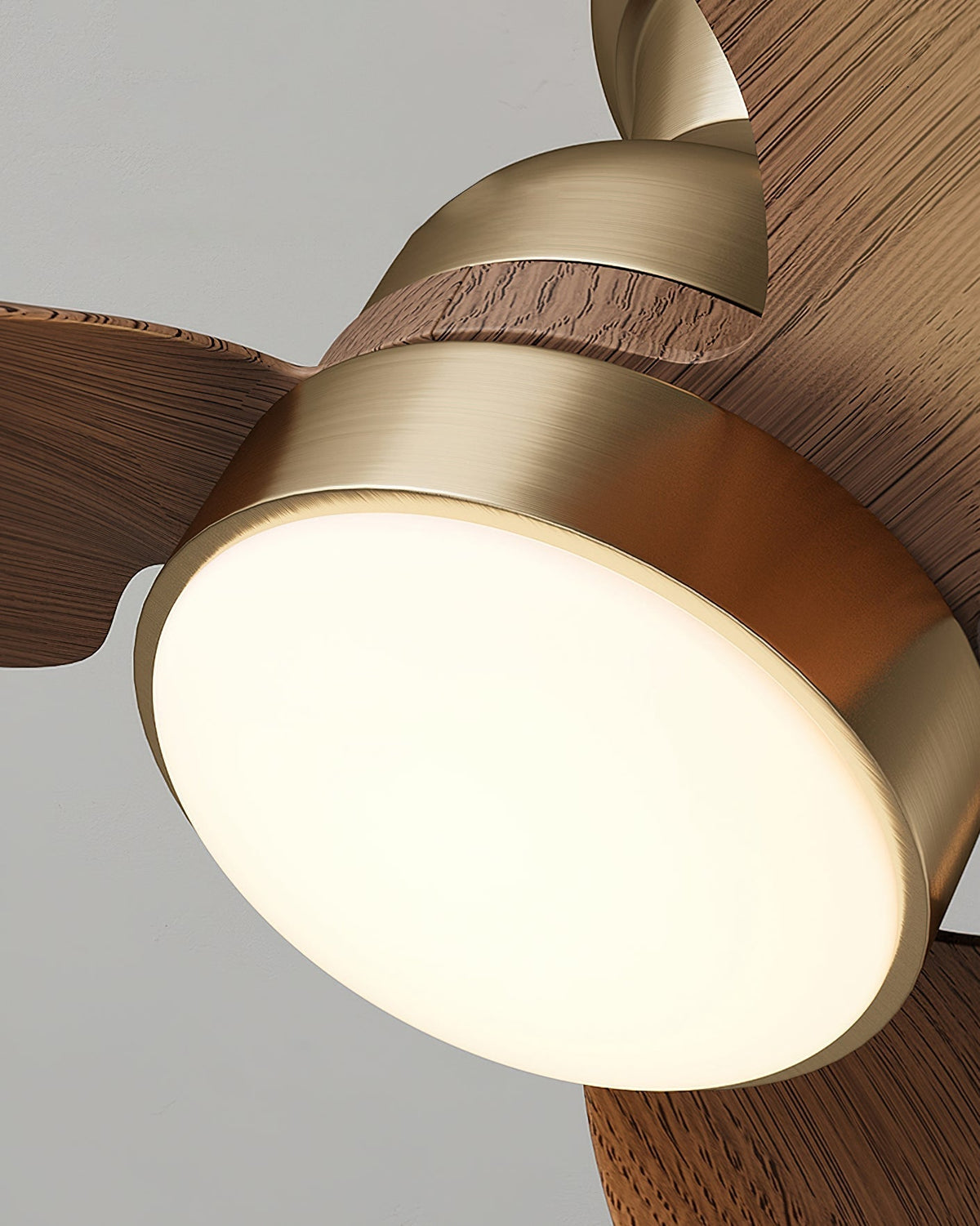 Aerivo Ceiling Fan Light