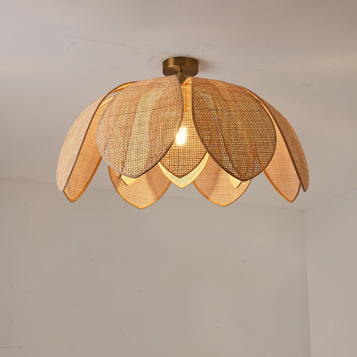 Hanove Ceiling Light