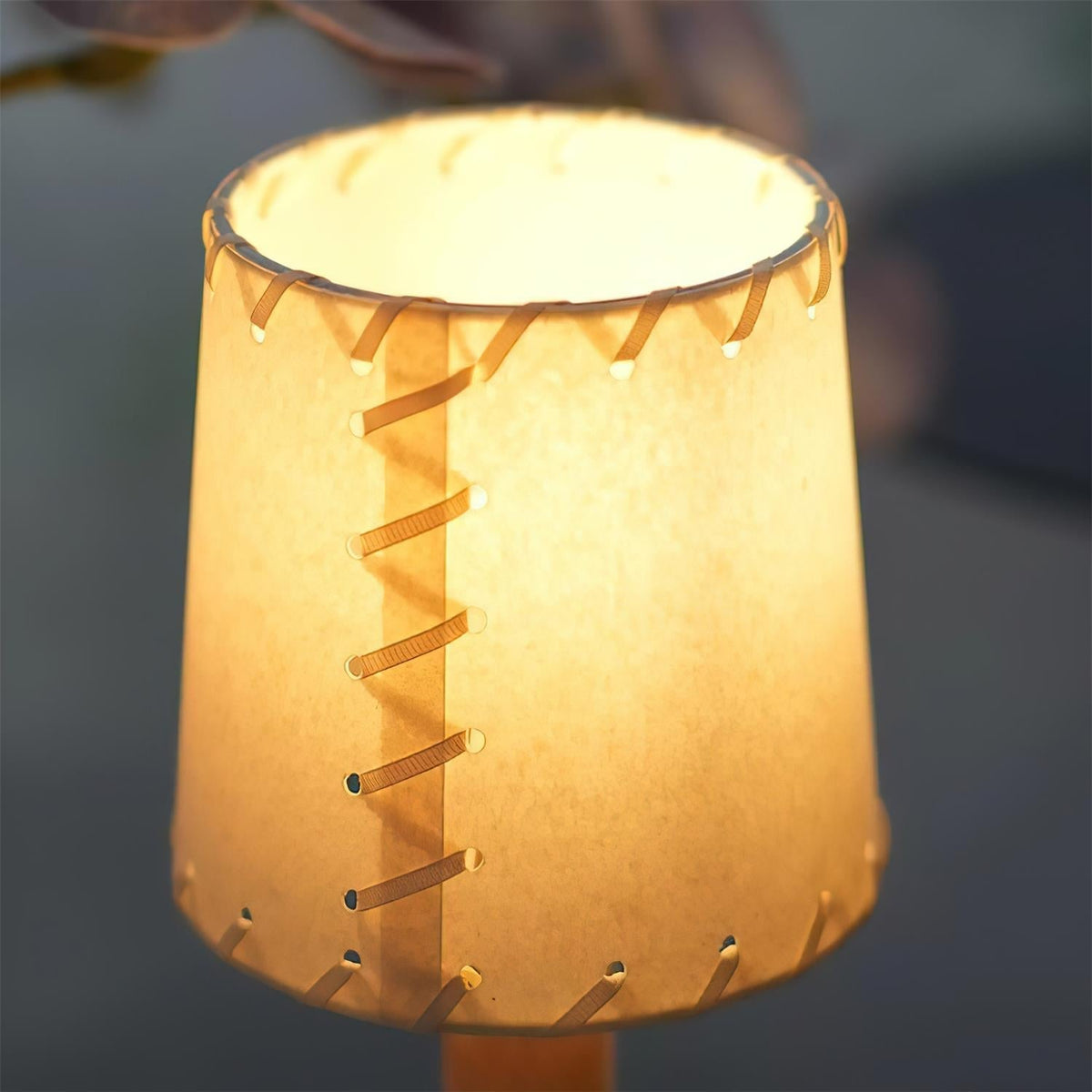 Liorenaya Table Lamp
