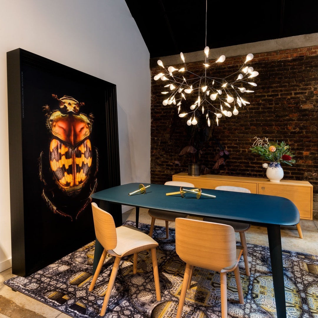 Soraline Chandelier