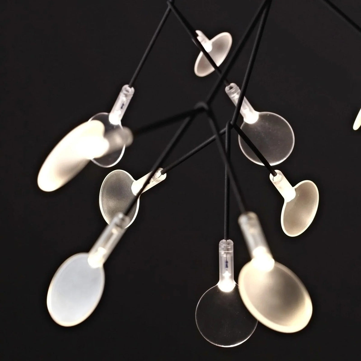 Soraline Chandelier