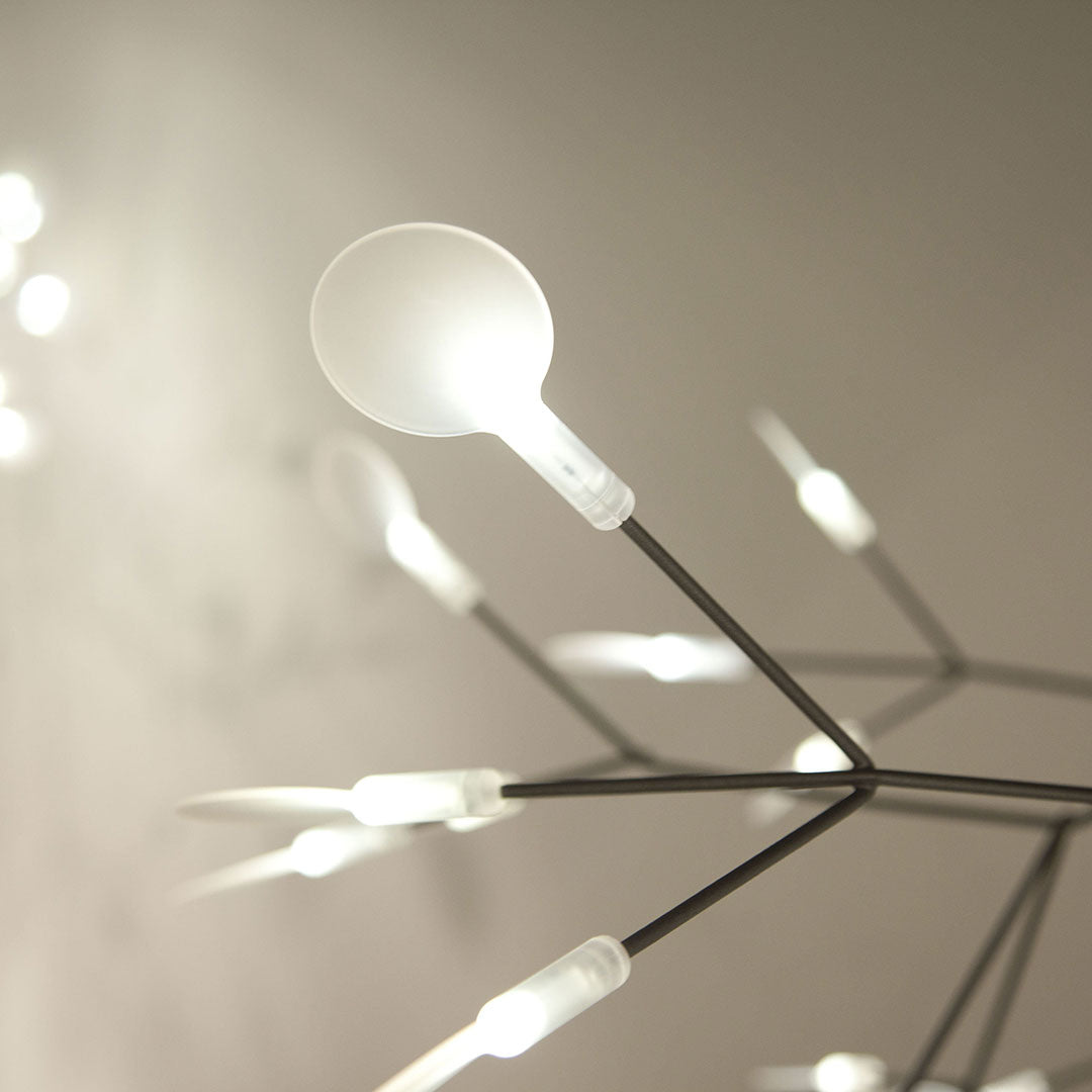 Soraline Chandelier