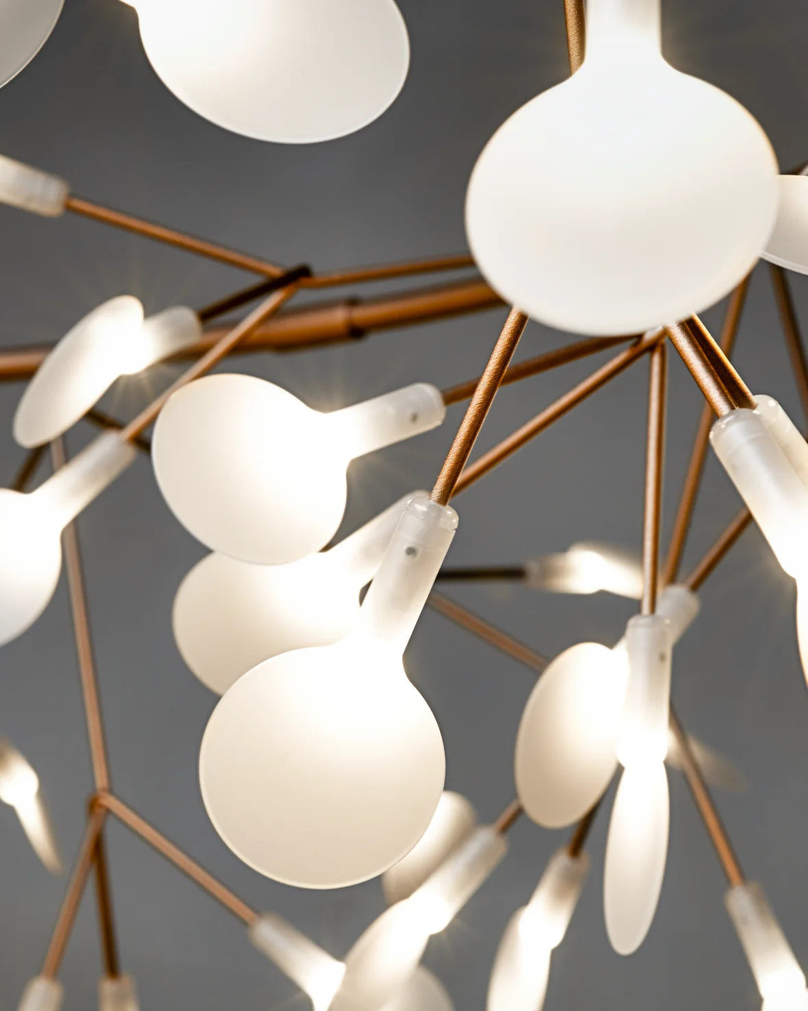 Soraline Chandelier
