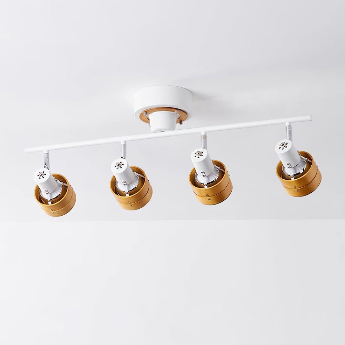 Miranaine Ceiling Light