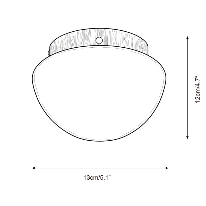 Rivinise Dome Ceiling Lamp