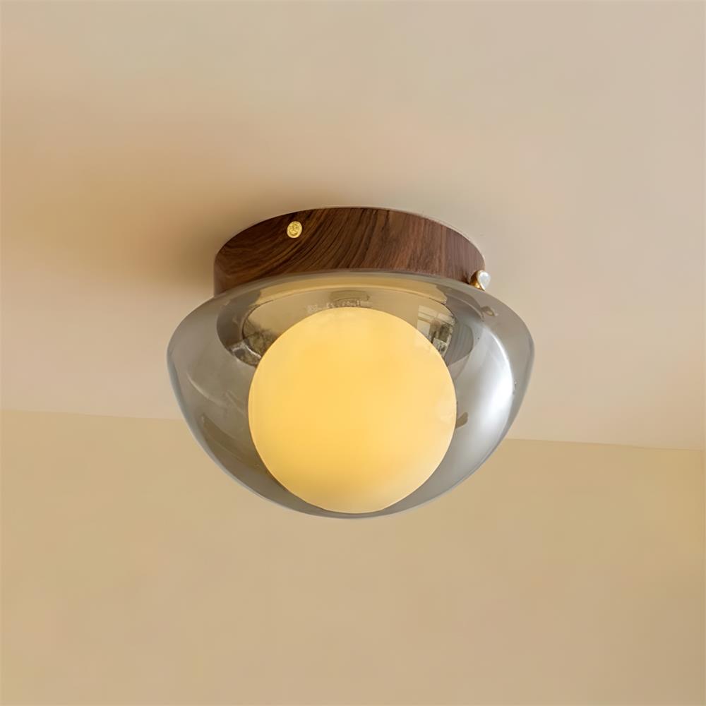 Rivinise Dome Ceiling Lamp
