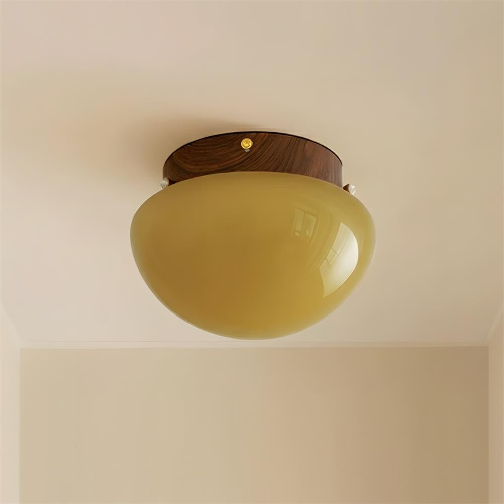 Rivinise Dome Ceiling Lamp