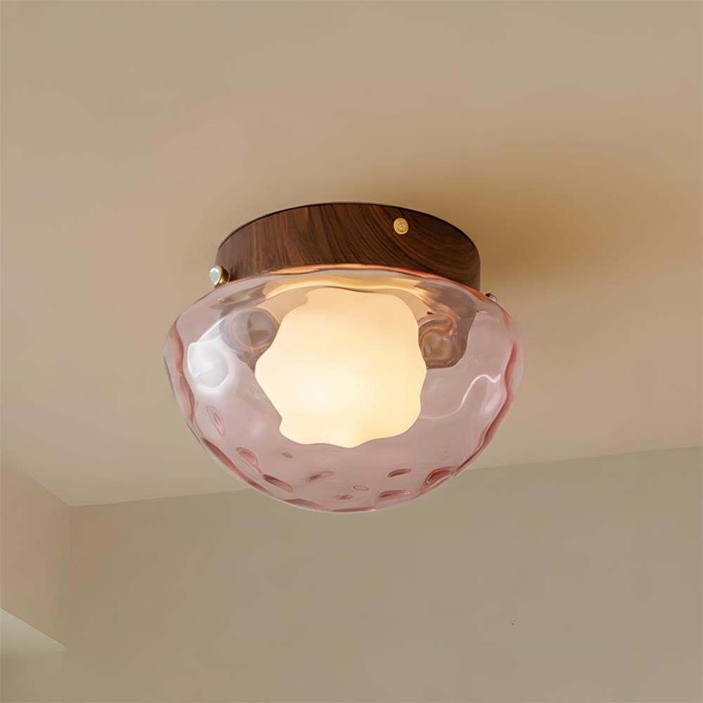 Rivinise Dome Ceiling Lamp