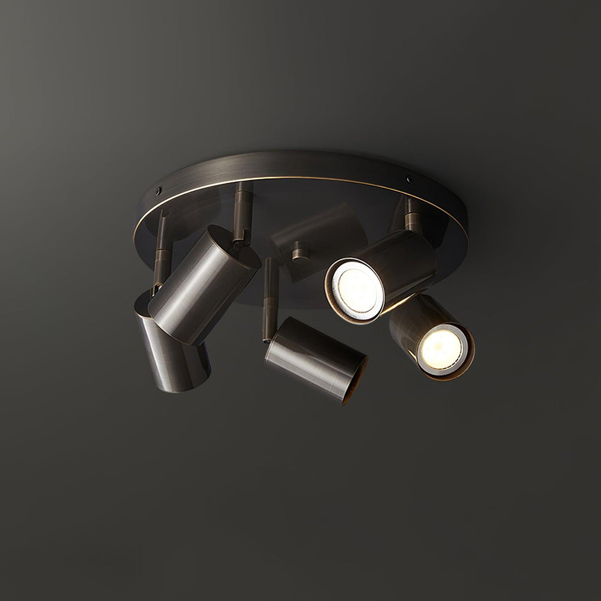 Quin Ceiling Lamp Cylinder Adjustable Contemporary
