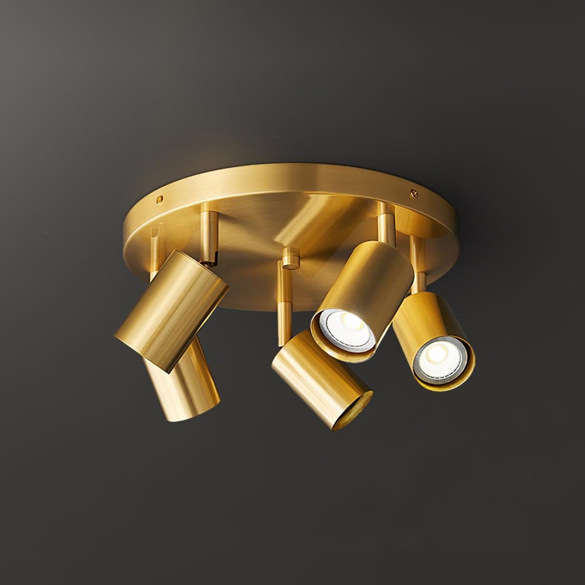 Quin Ceiling Lamp Cylinder Adjustable Contemporary