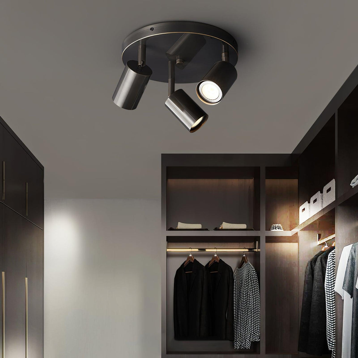 Quin Ceiling Lamp Cylinder Adjustable Contemporary