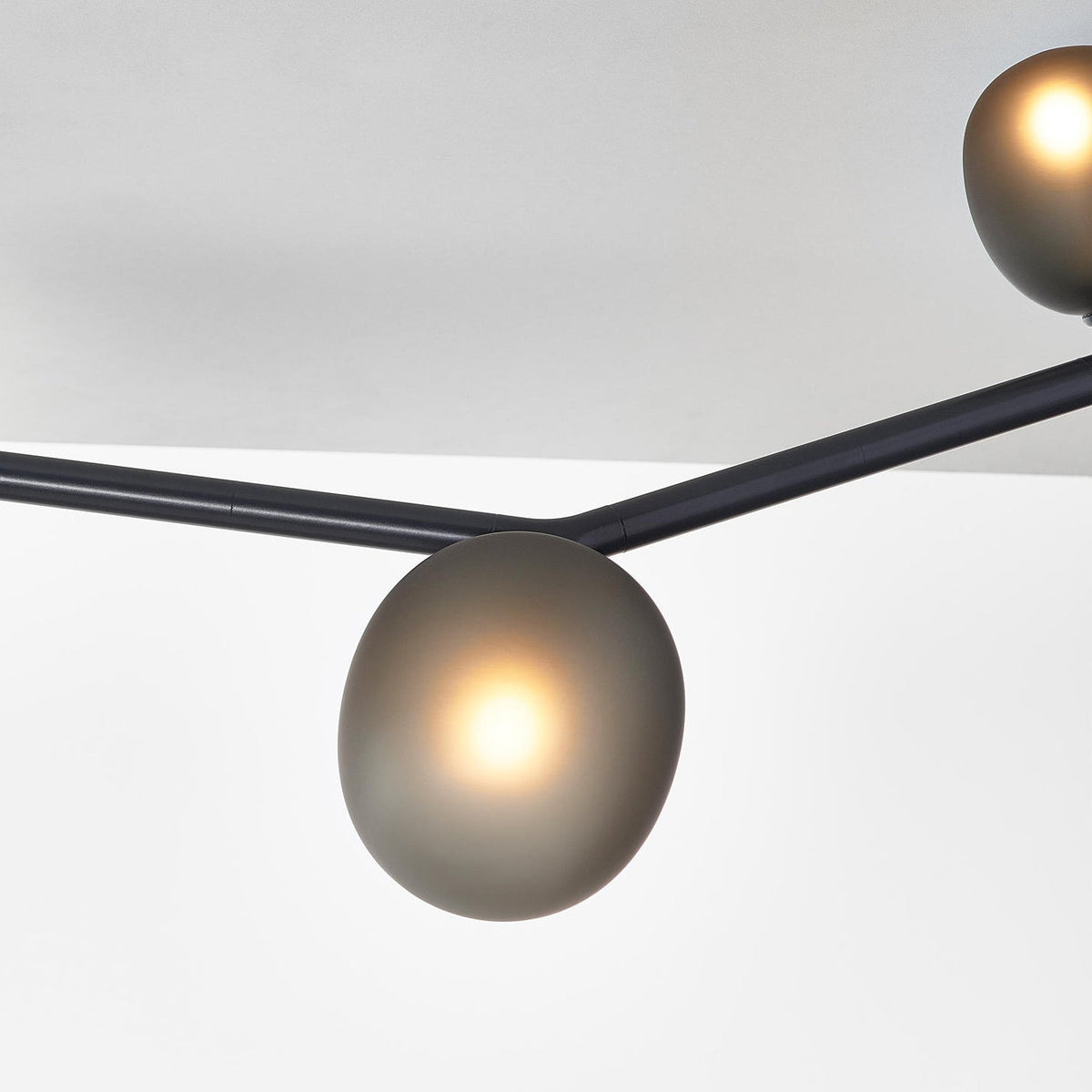 Lioreiella Horizontal Glass Pendant Lamp