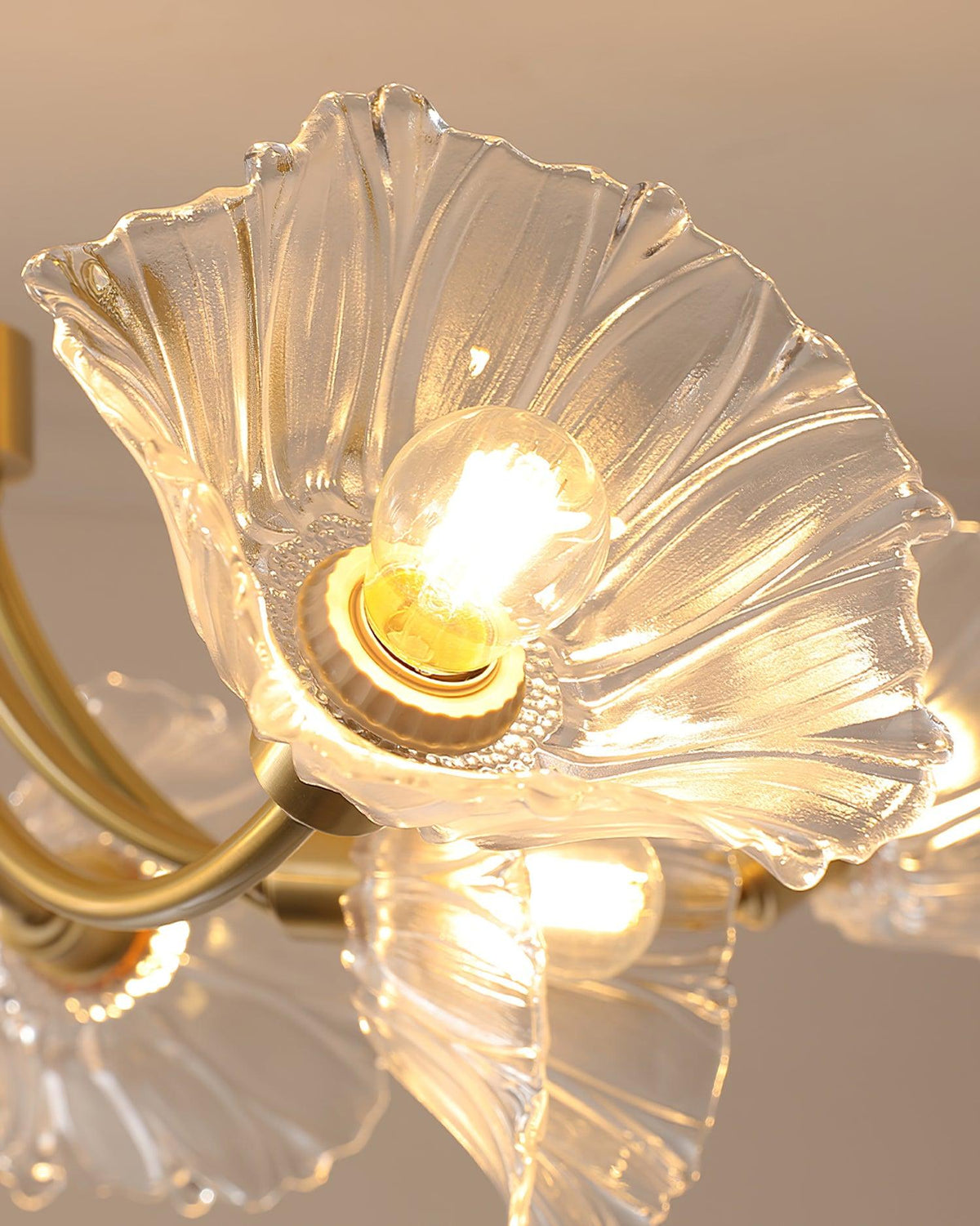 Fife Chandelier Flower Glass with Brass Finish