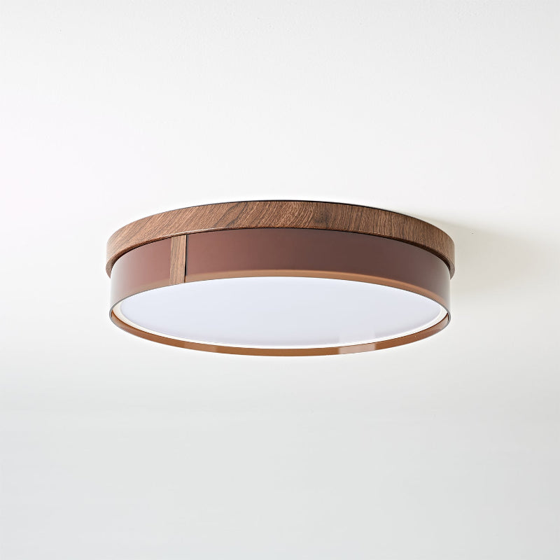 Caerwyn Ceiling Light