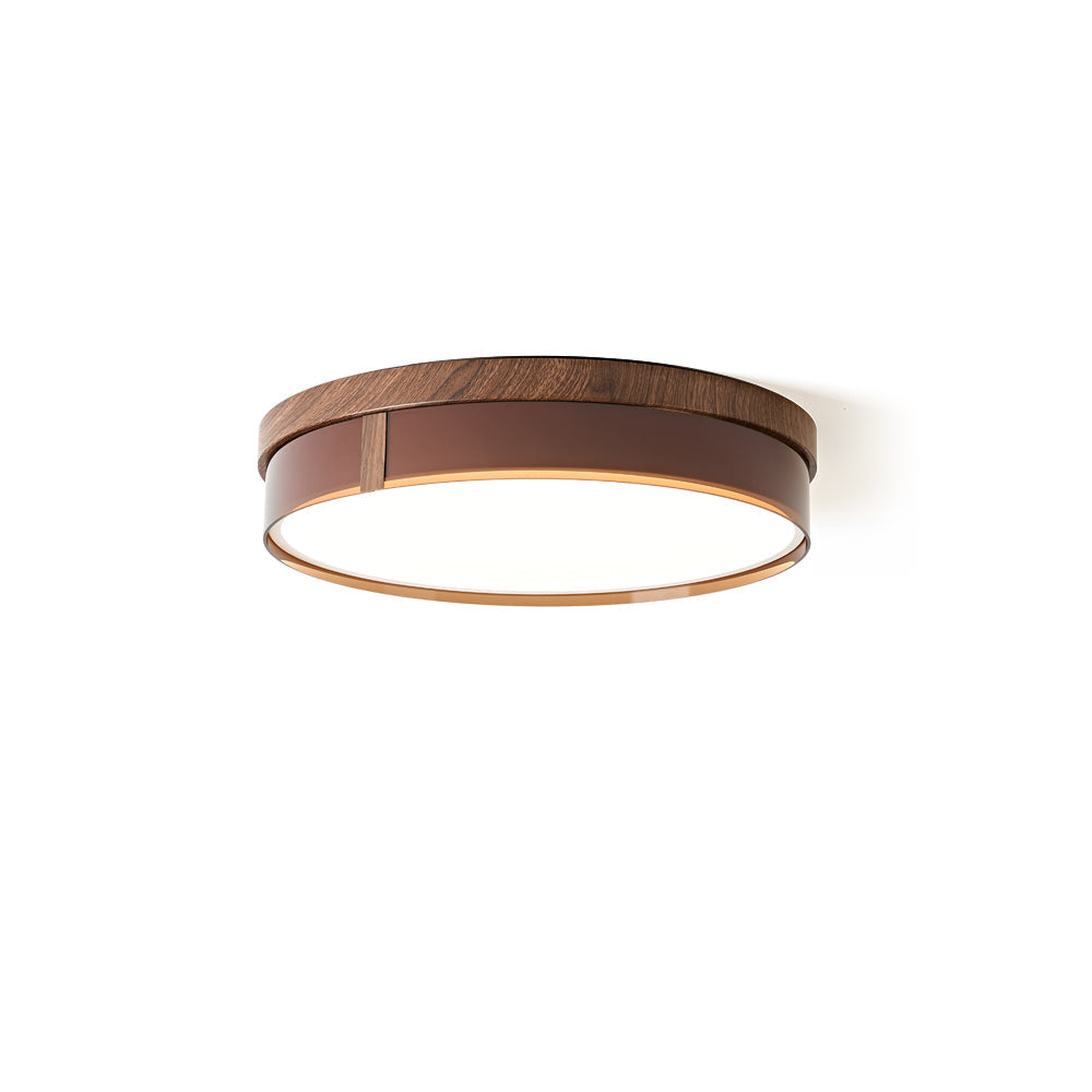 Caerwyn Ceiling Light