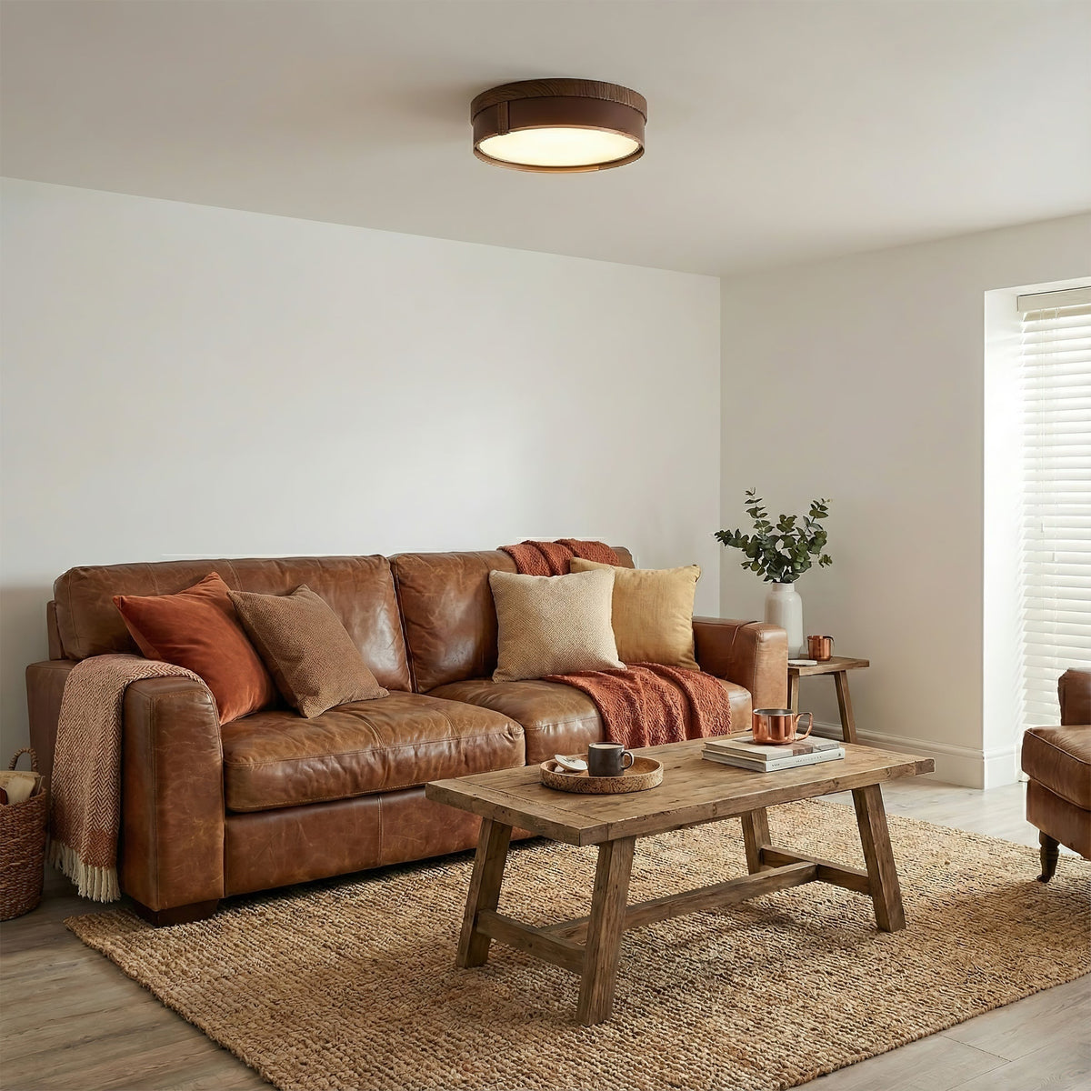 Caerwyn Ceiling Light
