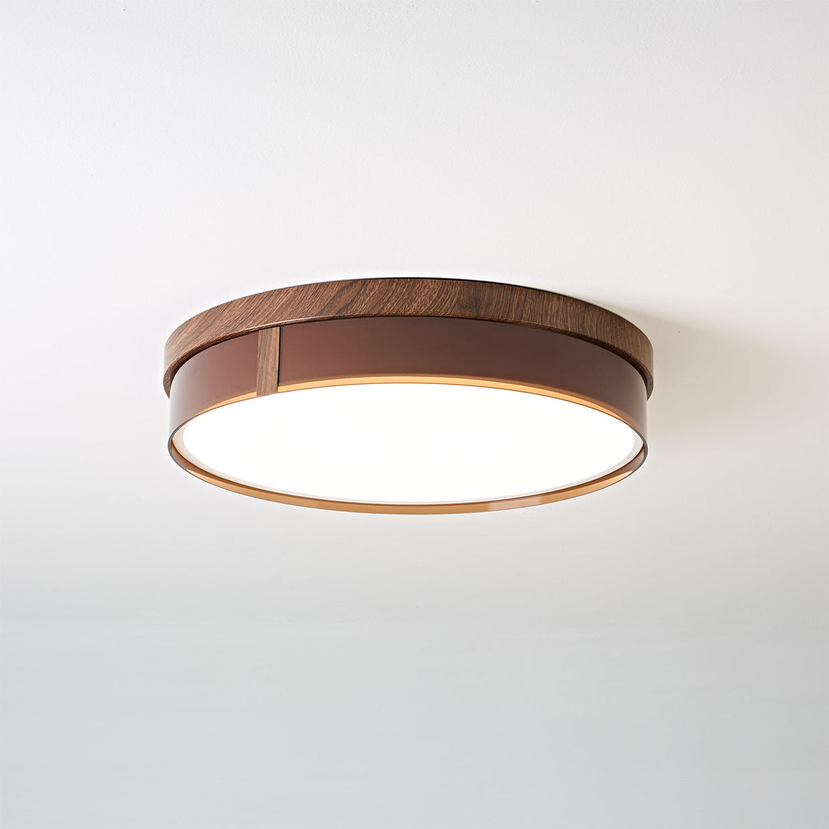 Caerwyn Ceiling Light