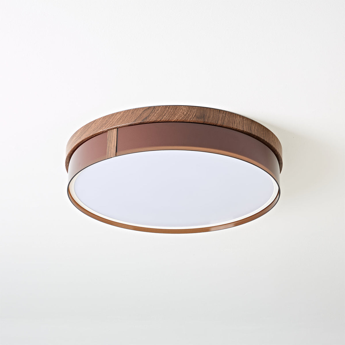 Caerwyn Ceiling Light